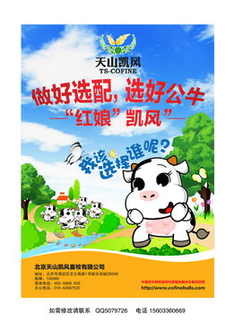 平面广告设计 A4纸一页 POP广告纸的创作要点